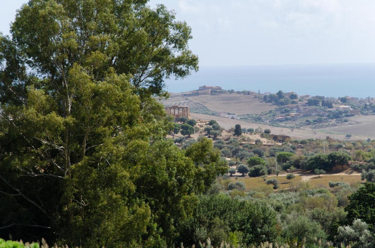 Panoramica Dei Templi B&B Agrigento Kültér fotó